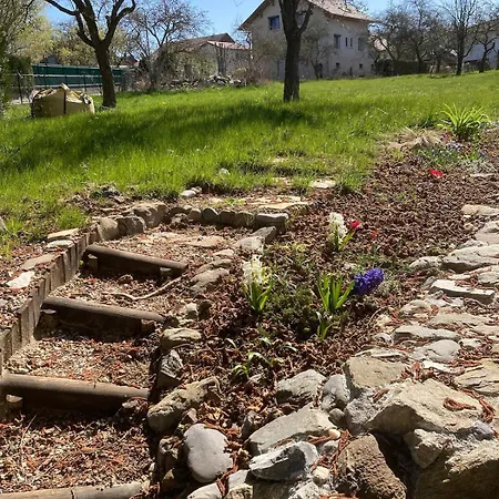 Maisonnette Hauts D'evian * Larringes